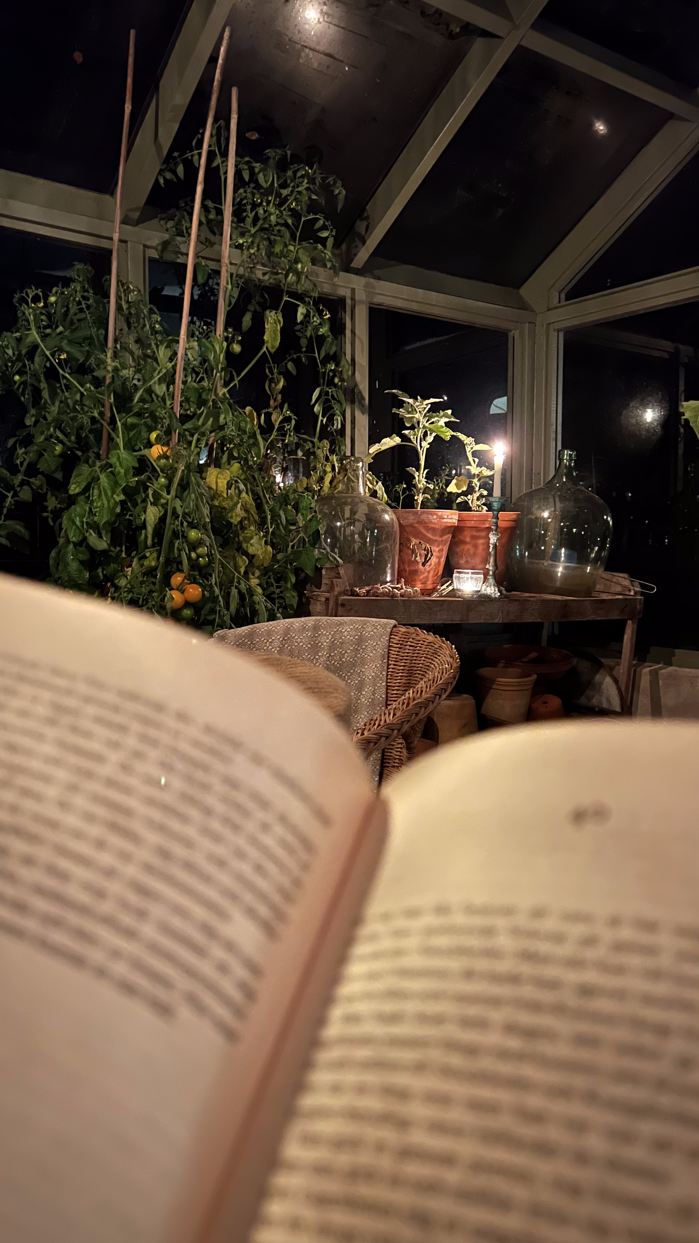 An opan book in the greenhouse late evening